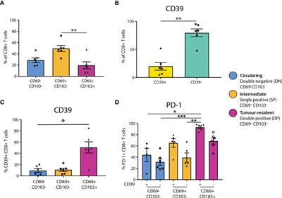 Detailed spatial immunophenotyping of primary melanomas reveals immune cell subpopulations associated with patient outcome